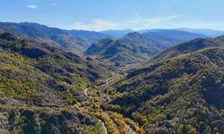 Kastamonu'da bazı alanlar orman sınırı dışına çıkarıldı