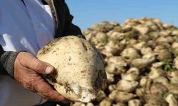 Kastamonu Pancar Ekicileri payları borsaya açılıyor