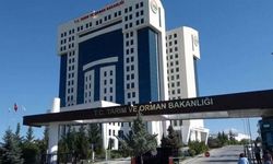 Bakanlık ifşa etti: O firmaları açıkladı!
