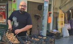 Kastamonu’da tezgahlara bir günde 1 ton kanlıca mantarı geldi