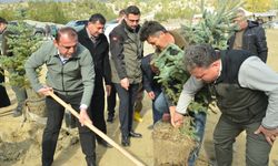 Hanönü’de Milli Ağaçlandırma Günü'nde 200 fidan dikildi