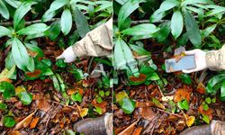 Kastamonu'daki sır perdesi aralanıyor: Telefon bulundu!