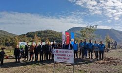 Cide’de “Hz. Muhammed (S.A.V.) Hatıra Ormanı” için ağaç dikimi gerçekleştirildi