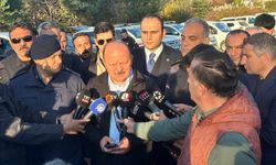 Vali Dallı: "Anne ve evladının vücudunda darp izine rastlanmadı"