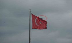 Karganın Türk bayrağı inadı