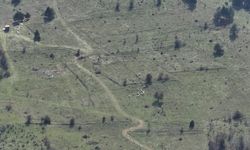 Kayıp hayvanları dronla buldular