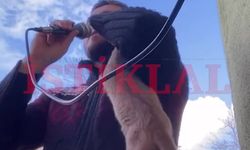 Cide'de ezan okuyan imamın misafiri, zor anlar yaşattı