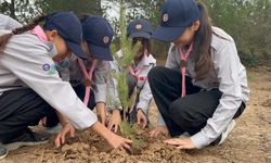 Kastamonu'da yüzlerce fidan toprakla buluşturuldu