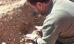 “Türkiye’nin Gücü Orman” Kastamonu’da hayat bulacak