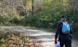 Kastamonu'da kayıp anne ile oğlu sekiz gündür aranıyor