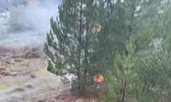 Kastamonu'da ormanlık alandan dumanlar yükseldi