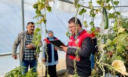 Kastamonu'da seralara sıkı denetim