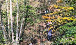 Kastamonu’da kaybolan annenin cansız bedenini vatandaşlar bulmuş