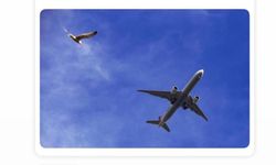 "Tokat başardı, neden Kastamonu da başarmasın?"