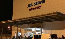 Kastamonu'da ceviz bahçesinde acı son!