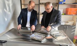 Tosya’da can dostlar için yuva yükseliyor