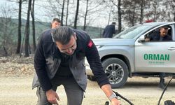 Müdür Yaslıkaya, yürütülen kesim çalışmalarını inceledi