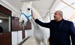 Taşköprü’de planlanan atlı turizm merkezi için Daday’da inceleme