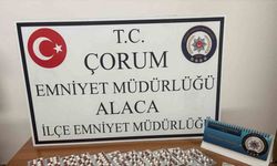 266 adet sentetik ecza hapı ele geçirildi