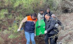 29 yaşındaki genç ağaçlık alanda ölü bulundu