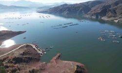 Denizi olmayan ilçenin somonları dünya sofralarına ulaşıyor