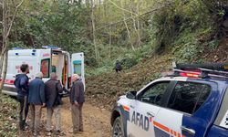 Kestiği ağaç uçuruma savurdu