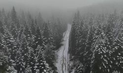 Komşu'da yüksek kesimler beyaza büründü