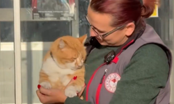 Bartın’da kayboldu, aylar sonra Kastamonu’da ortaya çıktı