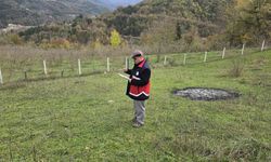 Çatalzeytin'de ürün beyan doğrulama çalışmaları sürüyor