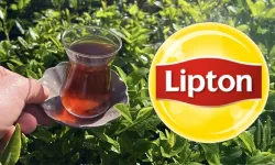 Lipton, Türkiye’de yaş çay işleme faaliyetlerini devretti