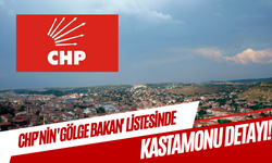 CHP'nin 'Gölge Bakan' listesinde Kastamonu detayı!