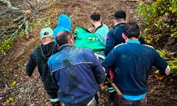 Cide’de tomruk altında kalan vatandaş kurtarıldı