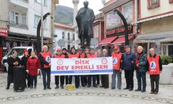 Boş sepetli emekliler İnebolu’dan seslendi: “Kaynak sarayda”