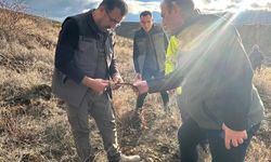 Kastamonu Orman Bölge Müdürü fidan dikimini yerinde inceledi