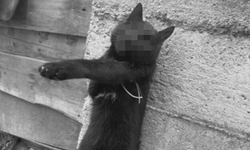 Kastamonu’da kan donduran manzara!