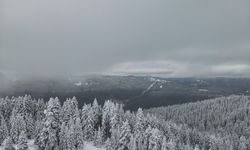 Ilgaz Anadolu’nun sen beyaz bir dağısın!