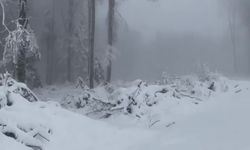 İnebolu’da kar kalınlığı 20 santimetreyi gördü