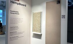 Kastamonu Entegre Endüstriyel kenevirle ilk 10’da