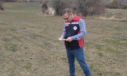 Kastamonu’da destekleme için arazi kontrolleri sürüyor