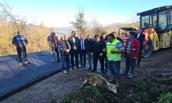 Asfalt çalışmasını kurban keserek kutladılar