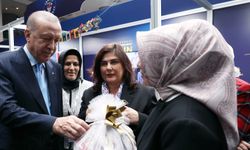 Cumhurbaşkanı Erdoğan’a Kastamonu'dan hediye