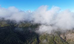 Kastamonu'nun üstündeki sis perdesi kalktı, tabloya dönüştü