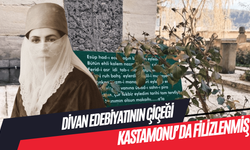 Edebiyatın çiçeğinin şiir dostluğu Kastamonu'da filizlenmiş