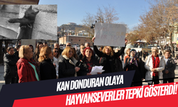 Kastamonu'daki kan donduran olaya hayvanseverler tepki gösterdi!