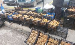 Kanlıca mantarı Kastamonu Çarşamba Pazarı’nı doldurdu