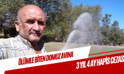 Ölümle biten domuz avına 3 yıl 4 ay hapis cezası