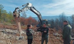 Kastamonu'da orman çalışmaları mercek altında