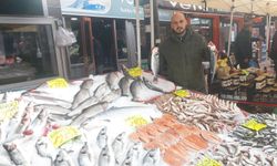 Salı Pazarı'nda balık tezgahları hareketli: Favori ise hamsi!