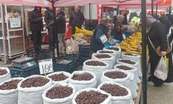 Salı Pazarı’nda kestane ve ceviz bolluğu