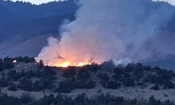 SON DAKİKA: Kastamonu’da orman yangını çıktı